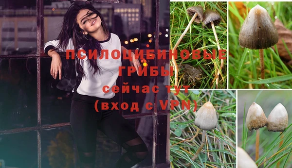 ALPHA PVP Медногорск