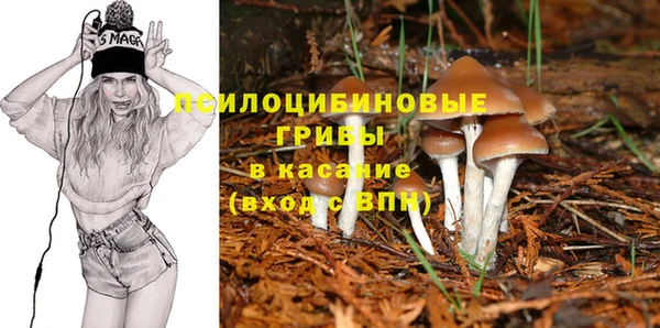 MDMA Premium VHQ Дегтярск