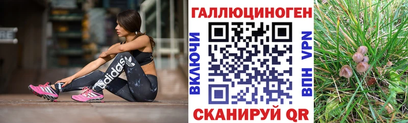 гидра вход  даркнет сайт  Ладушкин  Псилоцибиновые грибы Magic Shrooms 